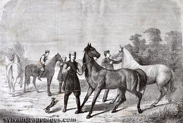 isba russe 1867 ecurie tsar